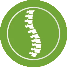 Chiropractic West Des Moines IA Report of Findings